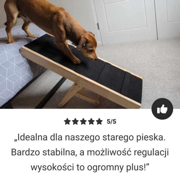 PetEase™ - Regulowana Rampa dla Zwierząt